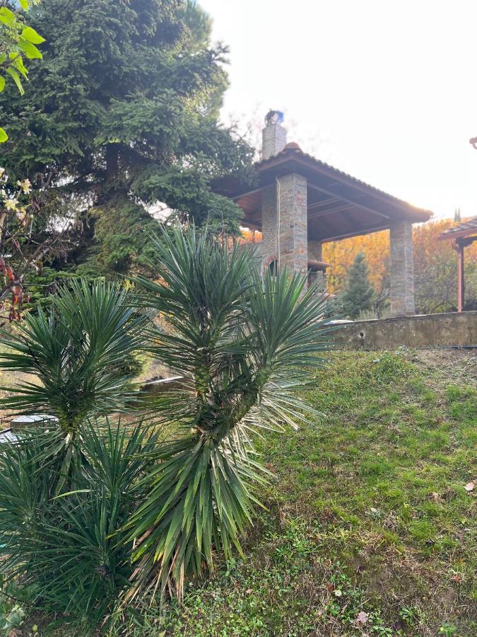House In The Woods Apartment Karditsa Exterior photo
