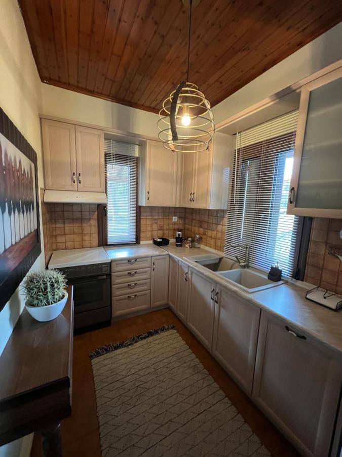House In The Woods Apartment Karditsa Exterior photo