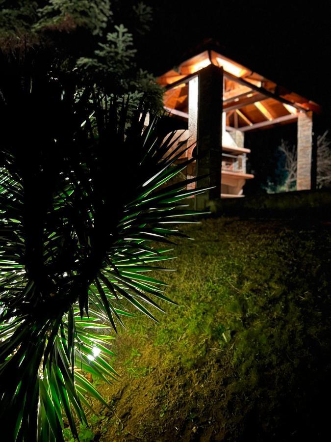 House In The Woods Apartment Karditsa Exterior photo